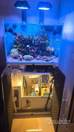 Acquario marino 70x50x50