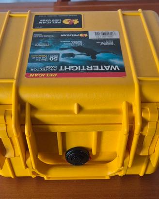 Pelican Case 1300