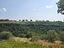 Immagine 25