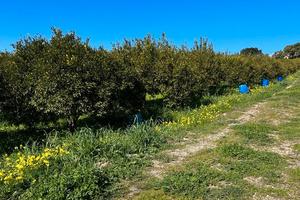 V/1052 Terreno pressi svincolo Bagheria