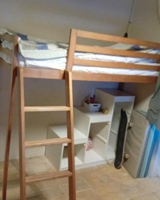 Letto a castello di faggio 175x75