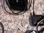 Immagine 6