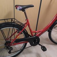 Bicicletta da donna 