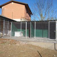 2 box per cani e 2 cuccie