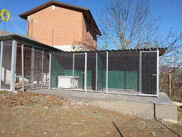 2 box per cani e 2 cuccie