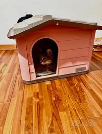 Cuccia per gatto o cane piccola taglia