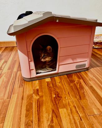 Cuccia per gatto o cane piccola taglia
