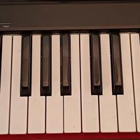  Tastiera 49 tasti midi  usb Nektar SE49