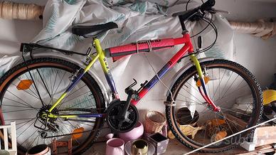 Bici Mtb vintage