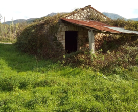 Terreno agricolo con fabbricato