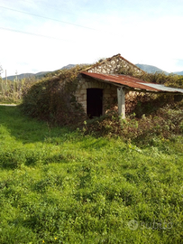 Terreno agricolo con fabbricato