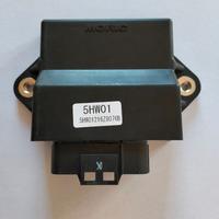 Centralina elettronica.