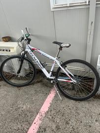 Muontain bike