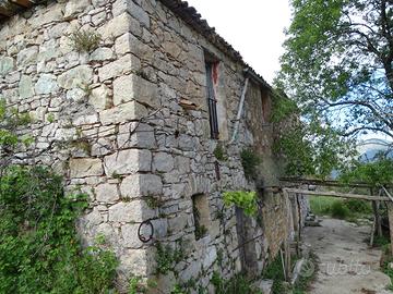 Terreno agricolo