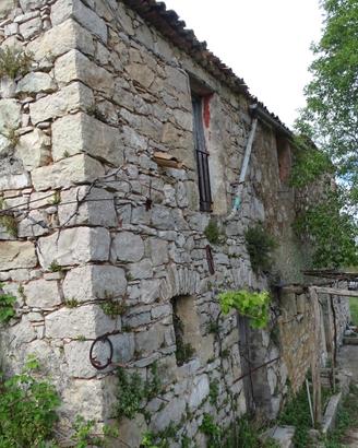 Terreno agricolo