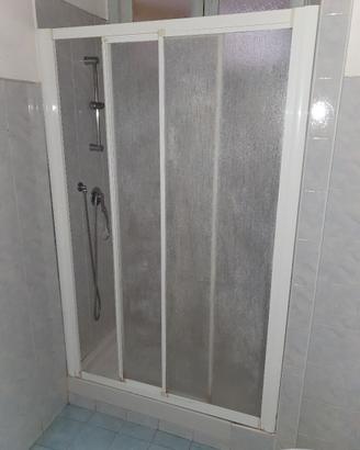 Porta doccia nicchia 120 (L 119 × H 185) acrilico