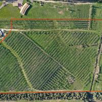 Terreno Agricolo Castiadas [Cod. rif 3296879VCG]