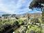 Immagine 29