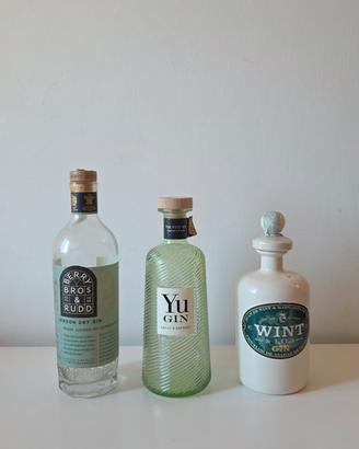Bottiglie Gin per uso creativo o da Collezione