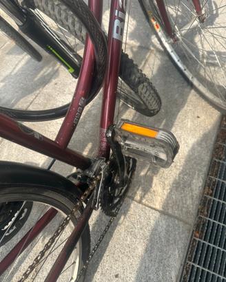 Bicicletta bianchi spillo donna
