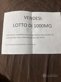 Lotto 1000 mq