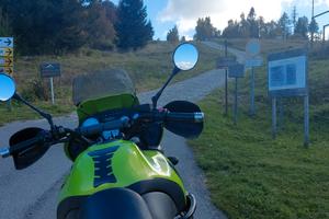 moto triumph tiger 955i anno 2003