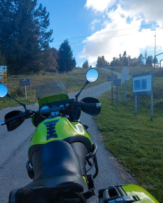 moto triumph tiger 955i anno 2003