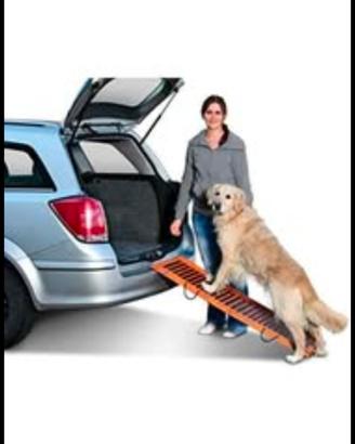 Rampa per cani pieghevole 
