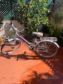 Atala Alice 24