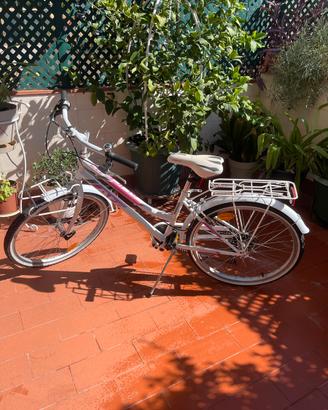 Atala Alice 24