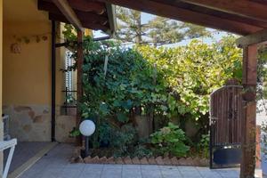 Graziosa villa a Santa Maria Del Cedro