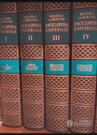 Enciclopedia Rizzoli larousse 15 volumi piu uno