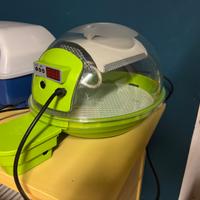 Incubatrice