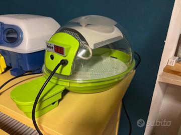 Incubatrice