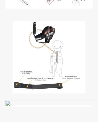 Julius K9 PZ 2  I-Belt