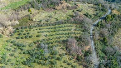 Terreno di 5630 m² a Montenero Sabino