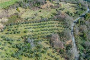 Terreno di 5630 m² a Montenero Sabino