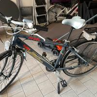 Bicicletta Elettrica