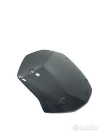 CUPOLINO ANTERIORE SPORTIVO CARBONIO BMW S1000XR M