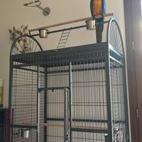Gabbia/voliera