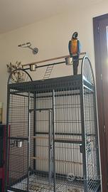 Gabbia/voliera