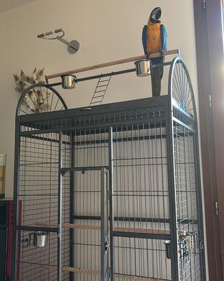 Gabbia/voliera