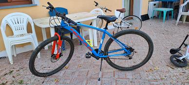 bicicletta con freni a disco