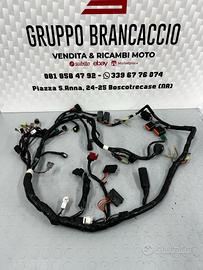 Impianto cablaggio elettrico Suzuki Inazuma 250