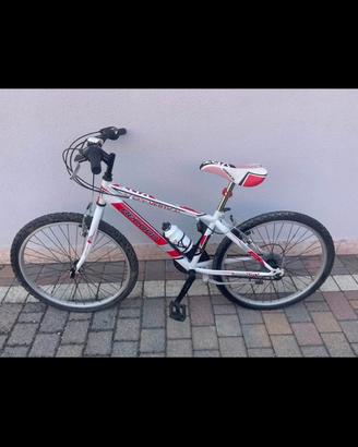 Bicicletta da ragazzo/a