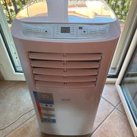 Condizionatore Pinguino