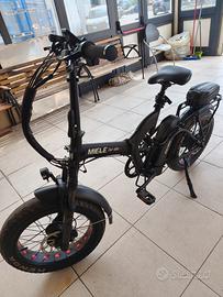 Fat bike 