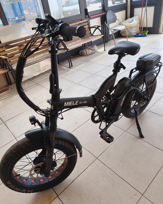 Fat bike 