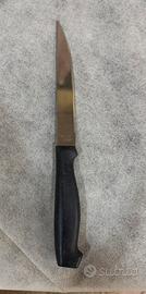 Set 12 coltelli da bistecca