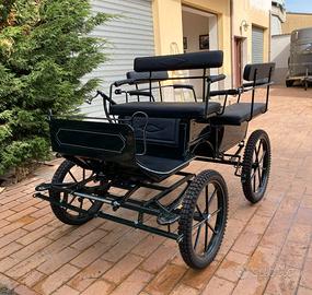 Carrozza mod Wagonette per mezzo cavallo (021)